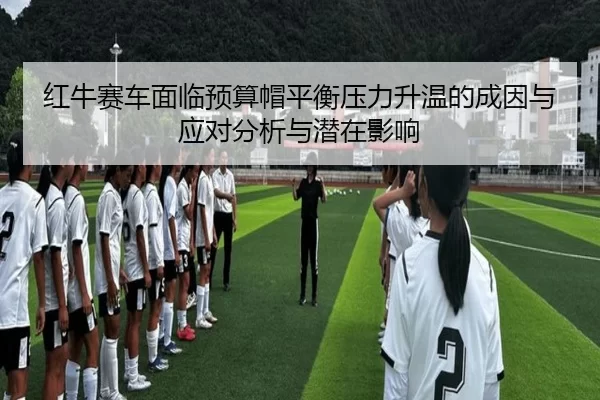 hong-niu-sai-che-mian-lin-yu-suan-mao-ping-heng-ya-li-sheng-wen-de-cheng-yin-yu-ying-dui-fen-xi-yu-qian-zai-ying-xiang-2-461.jpg